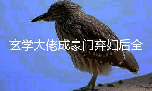 玄学大佬成豪门弃妇后全网跪了