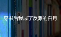 穿书后我成了反派