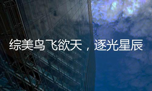 综美鸟飞欲天，逐光星辰