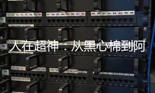 《夫人你马甲又掉了》全文在线阅读