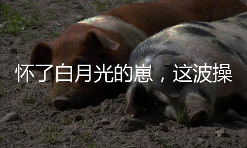 《穿书成恶毒女配，我创死霸总全家》全文在线阅读