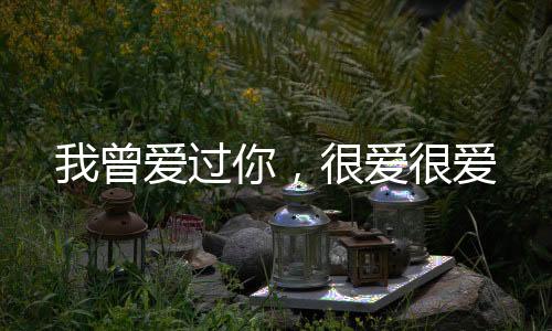 我曾爱过你，很爱很爱