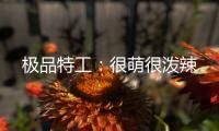 极品特工:很萌很