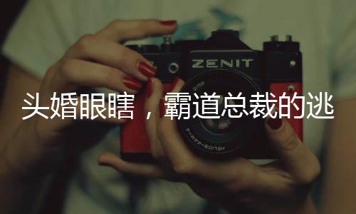 头婚眼瞎，霸道总裁的逃婚女友