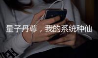量子丹尊，我的系