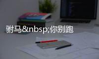 驸马 